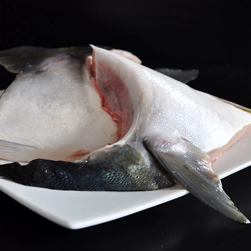 Fish Collars - Image 4