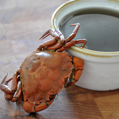 Green Crabs - Image 3
