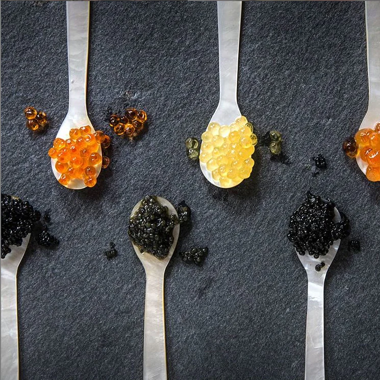 Wulf’s Paddlefish Caviar - Image 3